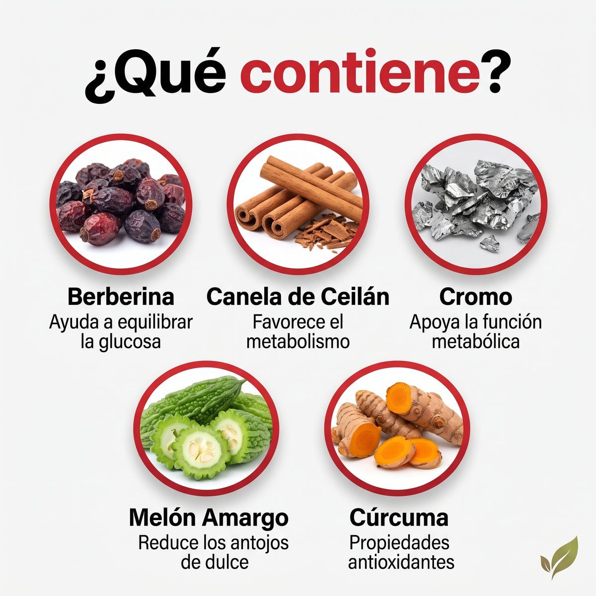 GLUCO TONE – Berberina en gotas 💧 para tus antojos y tu energía🍃
